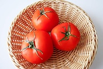 スギ花粉症の人はトマトに注意？　一方で「アレ」を多くとると「炎症が少なくなる」医師が解説