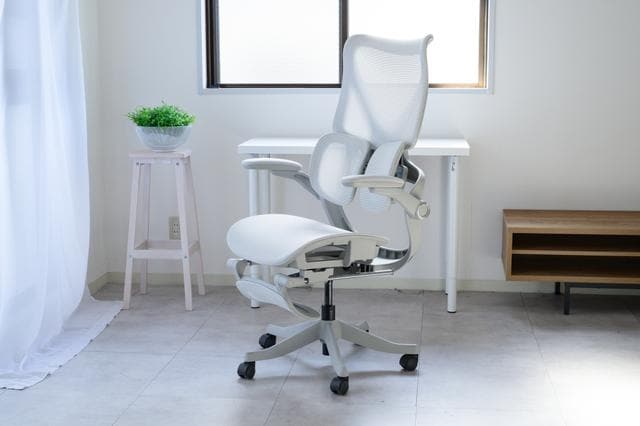 260219_004_NIKONZ8-2