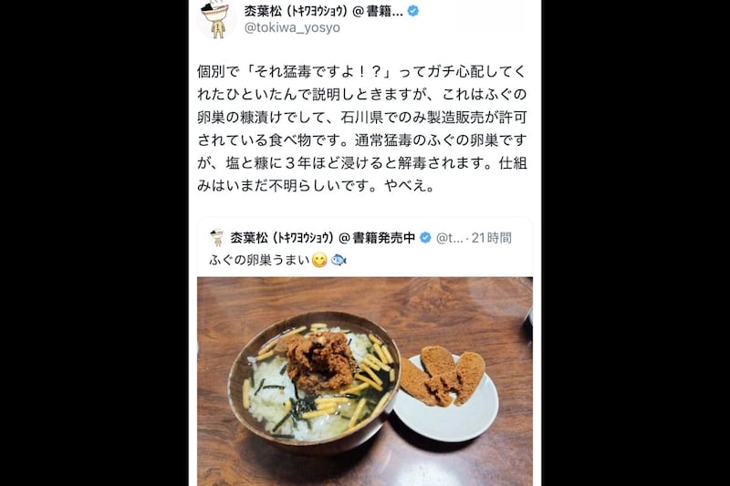 枩葉松（トキワヨウショウ）X