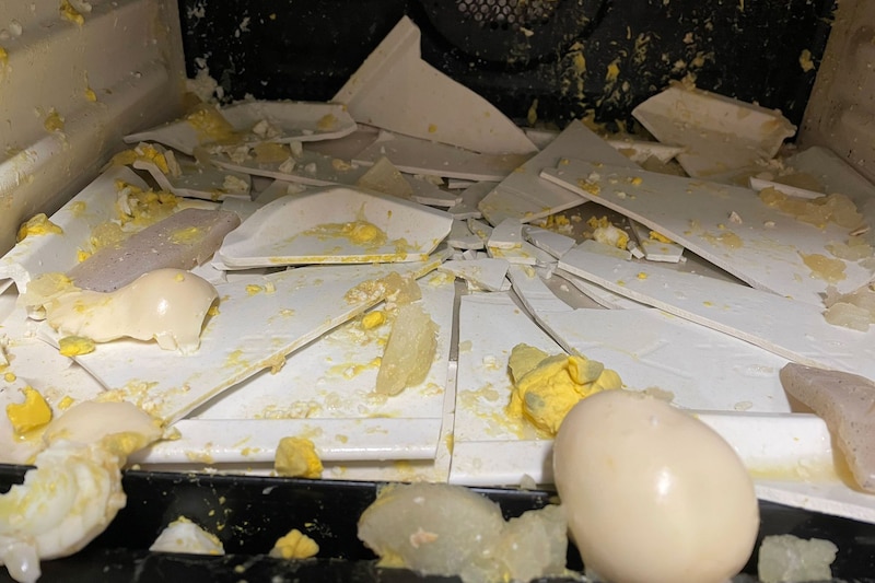 ゆで卵を温めた電子レンジが爆発、恐ろしい破壊力にゾッとした　家電のプロは「殻を剥いても危険」と指摘