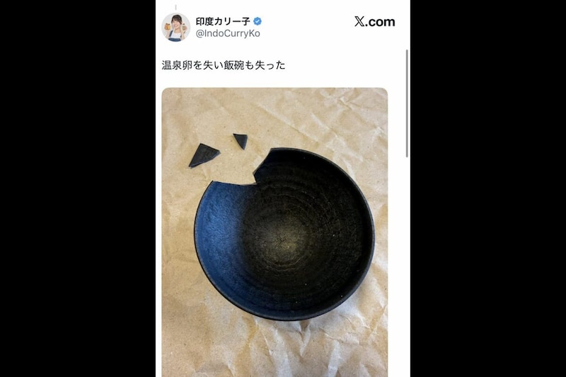 印度カリー子X