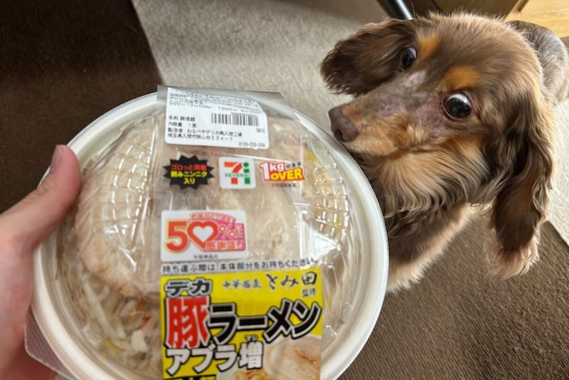 中華蕎麦とみ田監修 デカ豚ラーメンアブラ増