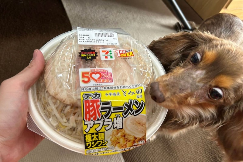 セブンイレブンの1kgラーメン、温めるのに必要な時間が「イカれてる」と話題　セブン広報に「電子レンジのスペック」聞いた