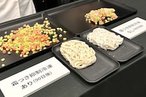 「冷凍したら味が落ちる」問題に　パナソニック新冷蔵庫の“霜つき抑制機能”が大注目