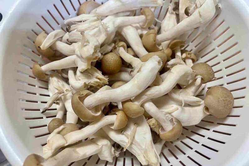 とろたましめじ