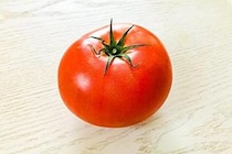 冨永愛の「トマトの食べ方」が栄養たっぷりで爆うま　これならすぐ真似できる…