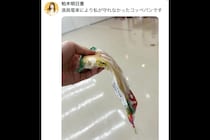 「守れなかった」満員電車でパンが潰れる悲劇も…　「さすがヤマザキ」称賛のワケ