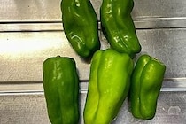 ズッキーニは「生」でもいける？　食べた人は「キュウリより…」「定期的にリピるくらいには好き」