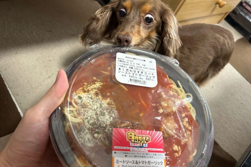 ローソン「合わせすぎ！ミートソース＆トマトガーリックパスタ」