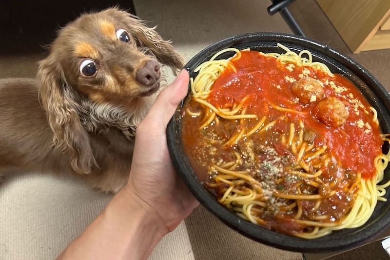ローソンのイカれたパスタ、ミートソース最大の弱点を「パワーで克服している」と判明