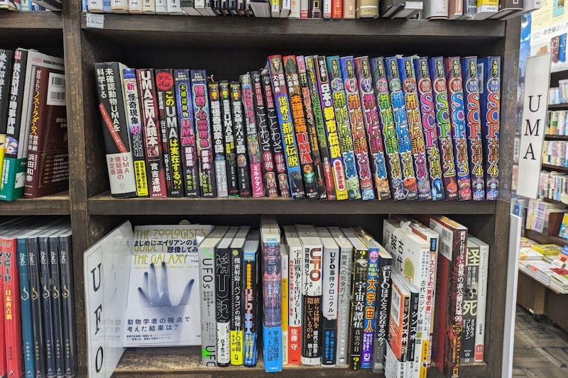 書泉グランデ「UMA」コーナー（通常時）