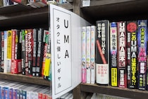 「オタクに優しいギャル」の本、UMAの棚に分類され世のオタクが絶望　書店は「現実で見たことない」と主張