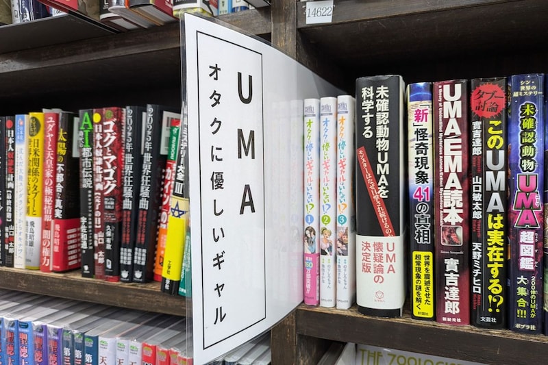 「オタクに優しいギャル」の本、UMAの棚に分類され世のオタクが絶望　書店は「現実で見たことない」と主張