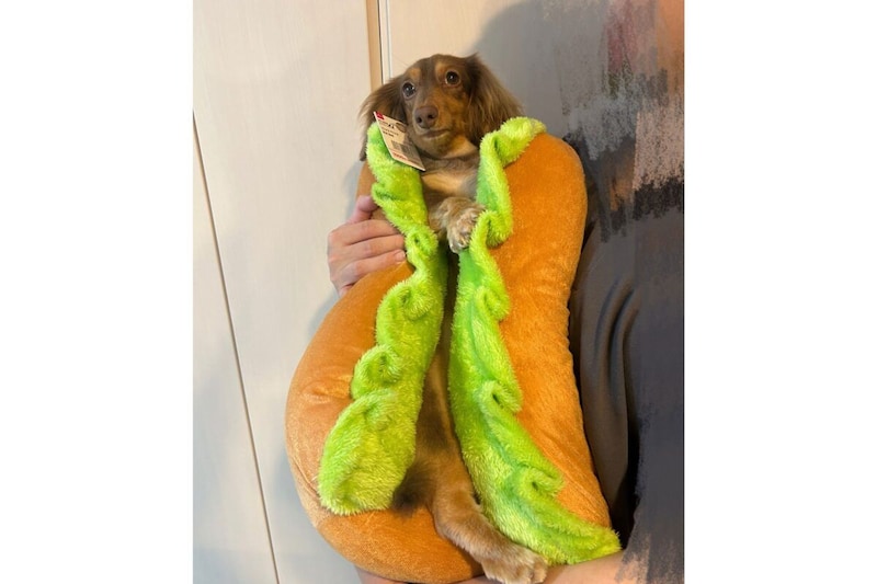 ホットドッグむぎちゃん