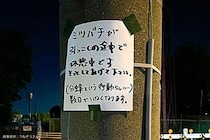 日本一優しい電信柱、夜に現れた張り紙の正体が「素晴らしい」「尊敬する」と話題に…