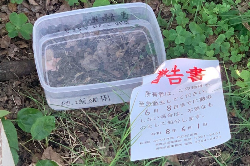 公園に置かれたタッパー