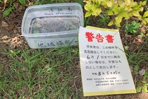 新宿区、猫の水皿に「撤去して」張り紙が「人の心無いのか」と物議　公園担当者は「無許可で置かれた物」と説明