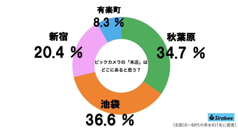 「ビックカメラ本店はどこ？」グラフ