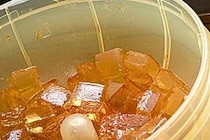 スマホに向かって飛んでくる激ウザ「コバエ」　神アイテムで全滅させた戦いの記録