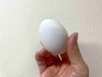 余った卵白、捨てずにコレ作って　天才レシピに「画期的」「助かる」