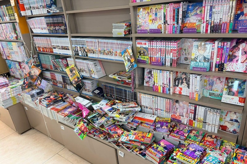 「ナツコミ2026」開催中の書店
