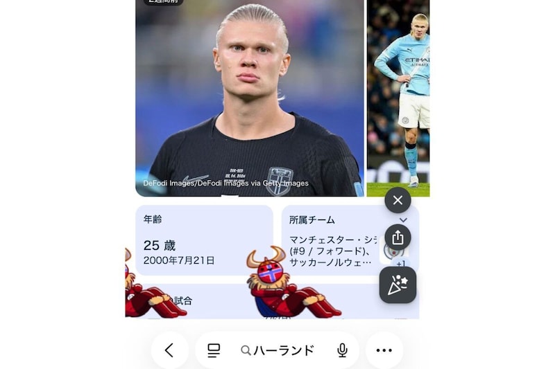 Googleのバイキング・ロー