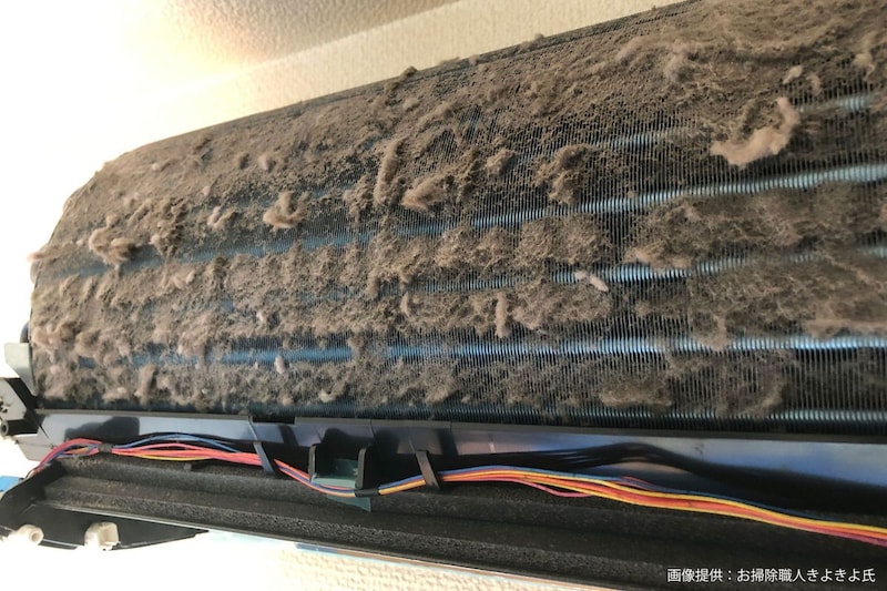 「自動お掃除機能」搭載エアコンの現実、内側を見てゾッとした…　掃除のプロは「小まめに掃除して」と警告