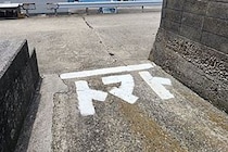 「トマト」と書かれた路面標示に驚きの声　「トマレ」でない理由を道路管理者に聞いた