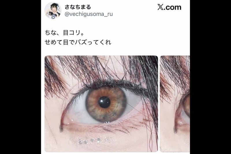さなちまるX