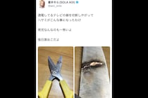 蒼井そら、双子男児がテレビの線を切断して…　“真っ黒に焦げたハサミ”を公開「感電しなくてよかった」