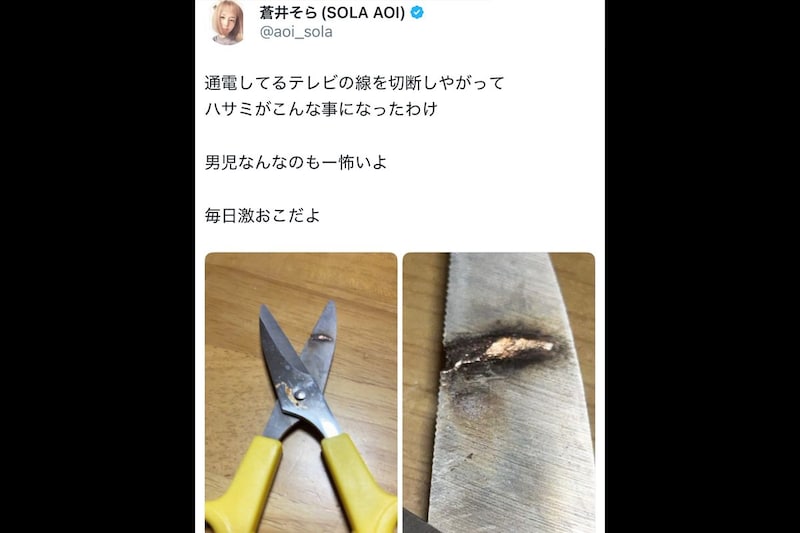 蒼井そら、双子男児がテレビの線を切断して… “真っ黒に焦げたハサミ”を公開「感電しなくてよかった」