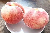 「桃を長持ちさせる方法」が目から鱗…　台所に“あるモノ”でふんわり包むだけ「知らなかった！」