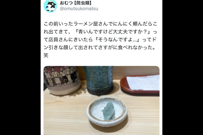 おむつ【爬虫類】X
