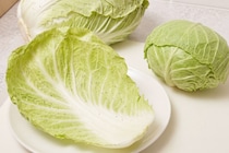 キャベツや白菜の“黒い斑点”は病気？　その正体をプロが解説「食べていいのか迷ってた！」