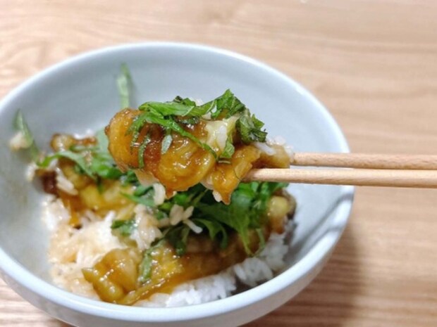 茄子の蒲焼丼