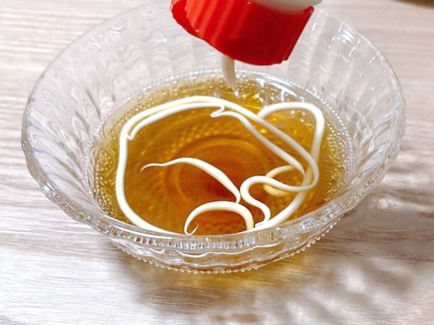 そうめん×めんつゆ×マヨネーズ