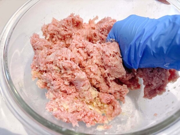 煮込みハンバーグ