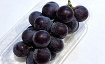 【やってたらすぐやめて】ぶどうは“この方向”で剥くのが大正解、「つるるん！」と剥けて気持ちいい♪