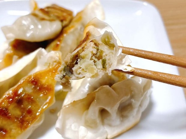 ホットサンドメーカーで餃子