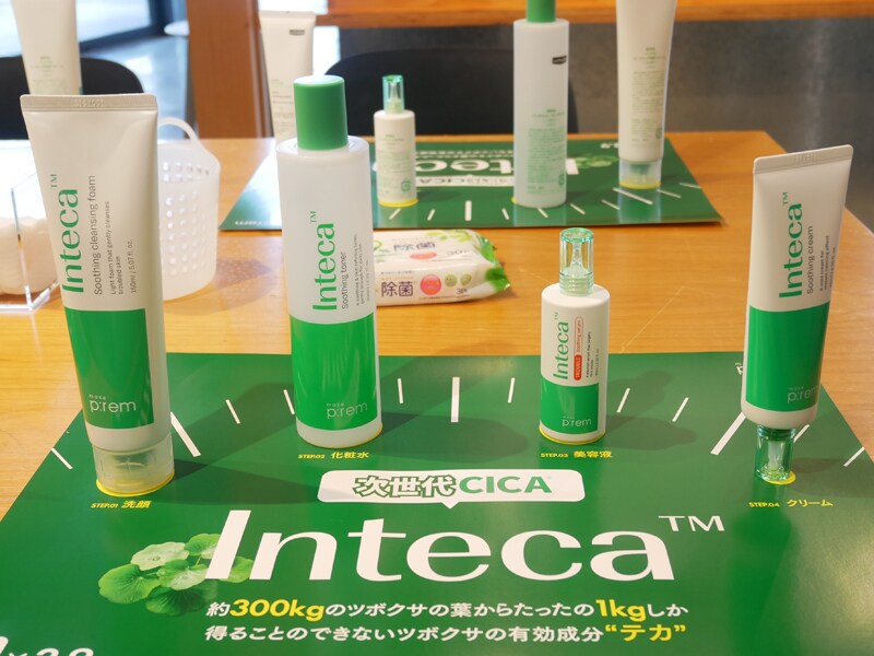 韓国コスメ メイクプレム インテカ CICA