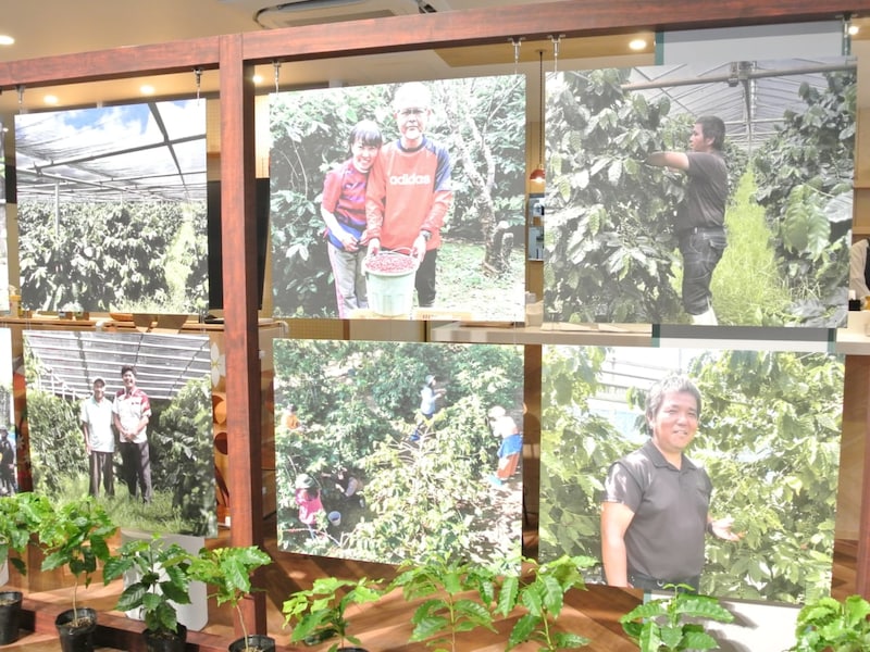 ネスカフェ, 沖縄コーヒー