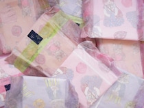 エリス ×ヒグチユウコ コラボデザイン生理用ナプキン第3弾！「エリス ルナフィット」で登場