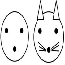 元NHKアナ・中村克洋「人生を動かす“顔”パワー」講座／顔のサイエンス⑤ 30羽のペンギンを見分けられる人がいる！