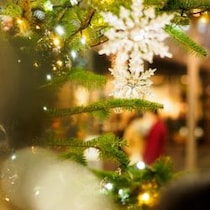 恋愛にも「損切り」と「保険」を組み込むと勝率が格段に上がるのか？