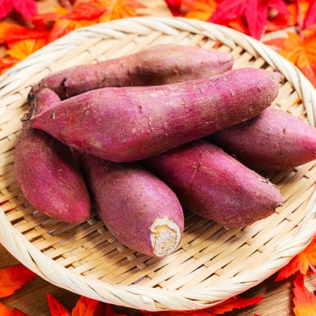 女性はみんな大好き！この秋の「さつまいもデザート」が美味し過ぎる