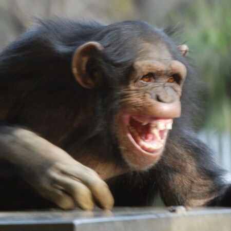 元NHKアナ・中村克洋「人生を動かす“顔”パワー」講座/顔のサイエンス③サルとは違う!「脳とのタッグ」で夢を叶えよう!