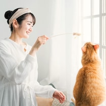 2月22日は「猫の日」存分に猫と触れ合える2つのイベントへGO！