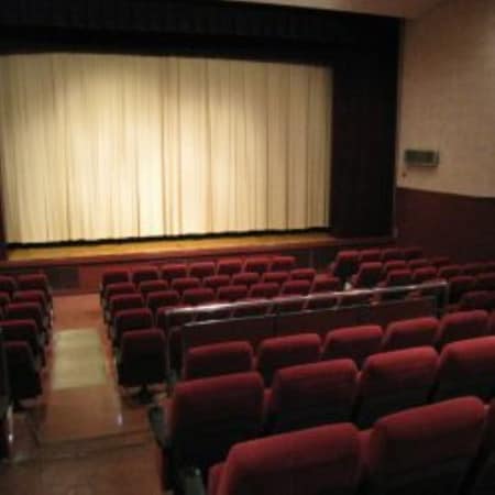 アニメ映画「果てしなきスカーレット」興行収入大不振を取締役が嘆くも公式サイトに「大ヒット上映中」のどっち?