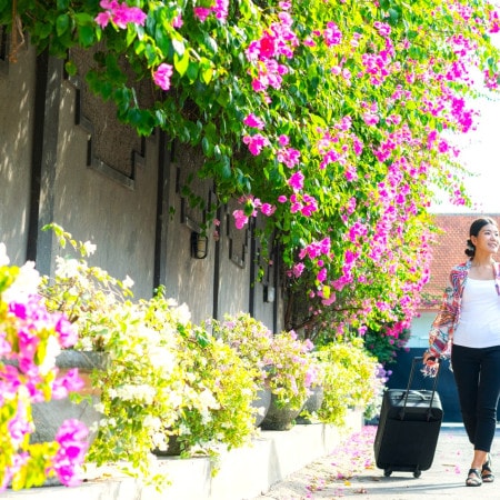 3月19日はバリ島のお正月「ニュピ」——伝統文化に触れる新たな旅のカタチとは？