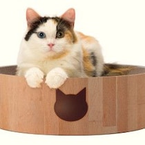 猫愛がスゴい！猫グッズメーカーの「爪とぎ」開発秘話